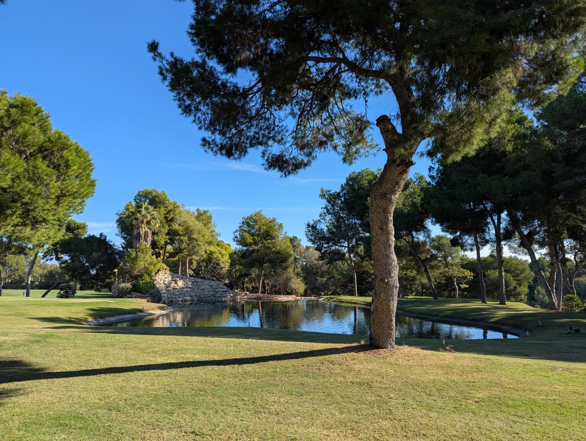 Villa Martin San Miguel De Salinas Zewnętrze zdjęcie